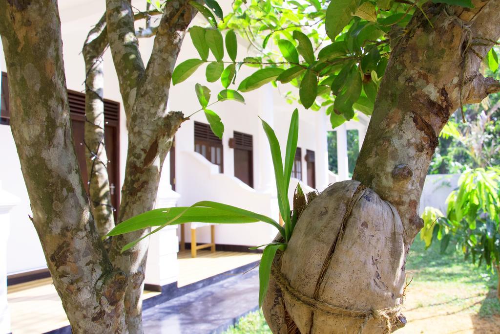 Garden Inn Mirissa Zewnętrze zdjęcie