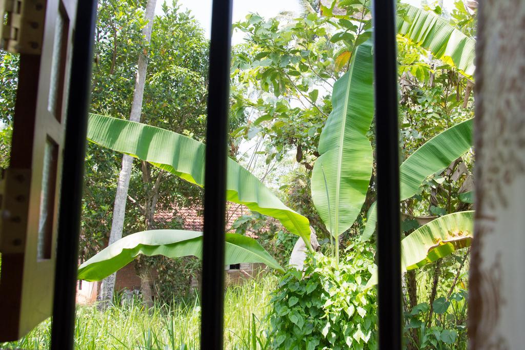 Garden Inn Mirissa Zewnętrze zdjęcie